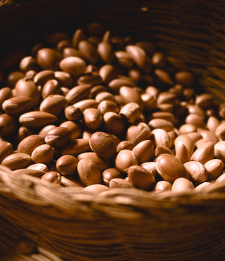 Close-up of argan oil kernels — vitamin E rich oil for intimate area care